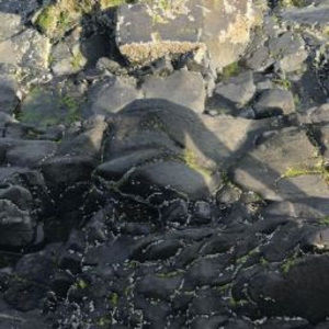 Meet your Posher, Manny